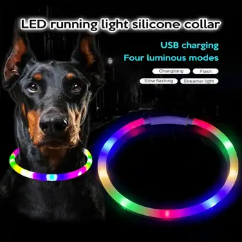Anti-Lost Šunų Antkaklis LED Žėrintis Reguliuojamas Šuo Nuostolių Prevencijos Apykaklės Mirksi Rechargea Šuo Naktį Švytinčios Mokestis Apykaklės